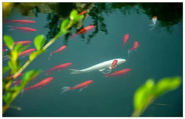 金利源，金利源凈水器，凈水器品牌，家用凈水器品牌，凈水器十大品牌，凈水器代理，凈水器加盟，凈水器廠家，凈水機，家用凈水器