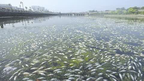 金利源，金利源凈水器，凈水器品牌，家用凈水器品牌，凈水器十大品牌，凈水器代理，凈水器加盟，凈水器廠家，凈水機，家用凈水器