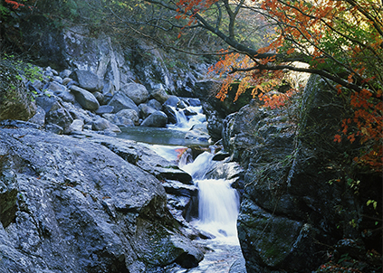 想買凈水器卻嫌安裝太復(fù)雜？?jī)羲髂膫€(gè)牌子好？