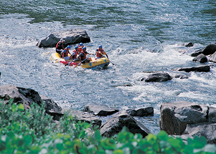 凈水器品牌競(jìng)爭(zhēng)加劇，行業(yè)面臨同質(zhì)化困境