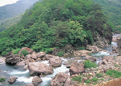 【美國新增4776例確診病例】YQ當(dāng)前，您的凈水器更換了么