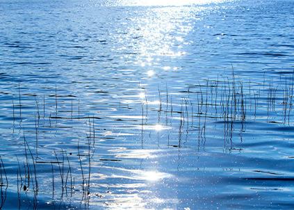 凈水器品牌【金利源】決戰(zhàn)三四線城市 該如何布局？