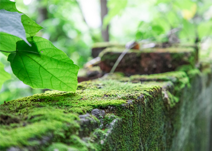 【凈水器品牌】?jī)羲髌放颇募液?？需要注意的四點(diǎn)誤區(qū)！
